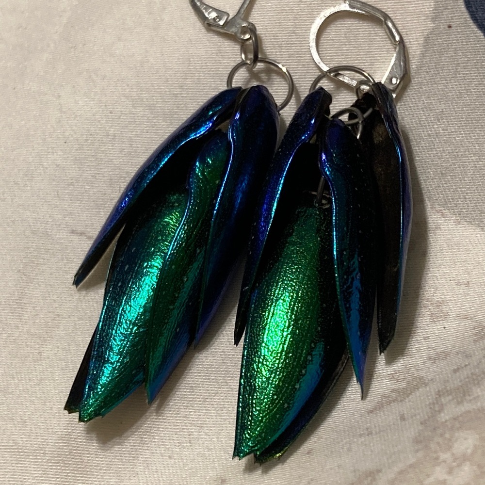Real Beetle Wing Earrings